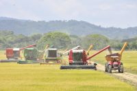 Imagen: Ministerio de Agricultura.