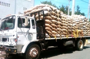Recuperan camión robado cargado con 233 sacos de arroz: 