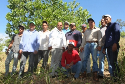 Distrito Minero Monseñor Nouel realiza reforestación Jengibre Bonao
