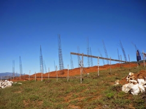 Medio Ambiente apodera a la justicia  por desforestación para construir helipuerto  en Bahuruco 