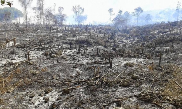 Unidad de gestión ambiental condena incendio en la zona del Polo Magnético