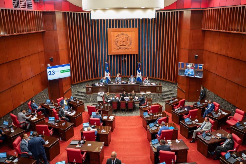 La propuesta legislativa señala que se hace necesaria la intervención del Congreso a los fines de proceder a suprimir el modelo de candidaturas independientes, lo que evitaría dificultades y contrariedades al sistema político e institucional dominicano.