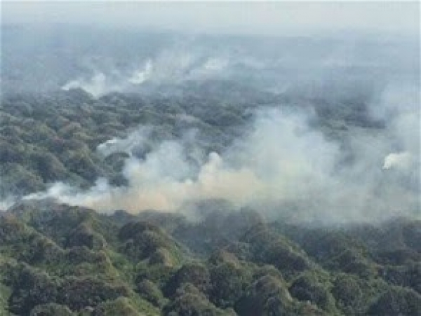 Denuncian 100 incendios destruyen bosques Los Haitises