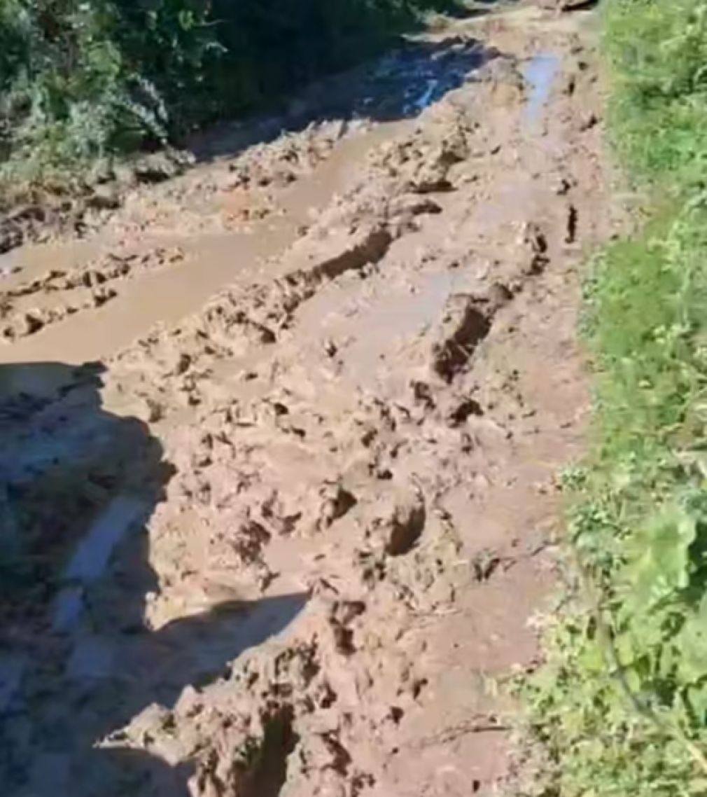Los caminos de acceso se encuentran en condiciones intransitables.