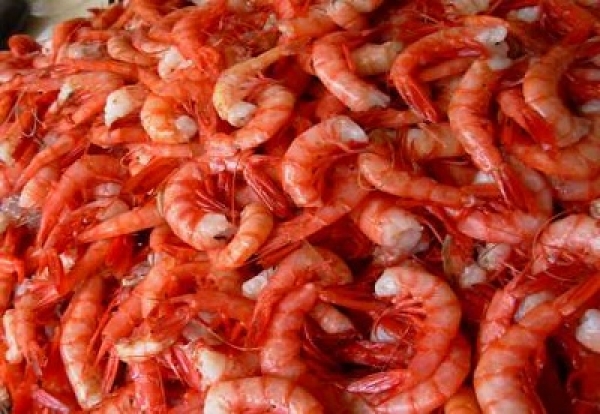 Agricultura prohíbe importación de camarones