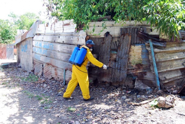 Empleado del Ayuntamiento de Boca Chica fumigando patios y callejones de barrios con amanenaza de Chikungunya.