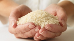 Muestra de arroz