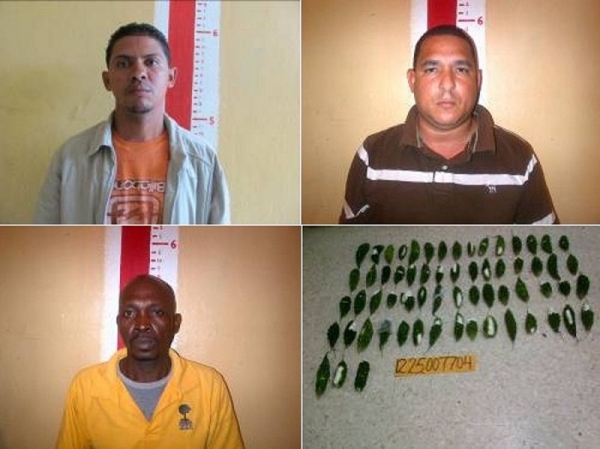 José Armando Abreu Valerio, Diomedes Francisco Caraballo Ureña y Tomas Lubin, supuestos responsables de la droga.