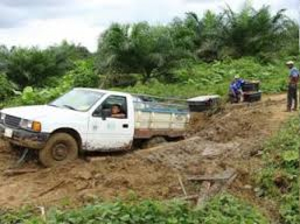 Reclaman reconstrucción de vías en zonas agrícolas:  