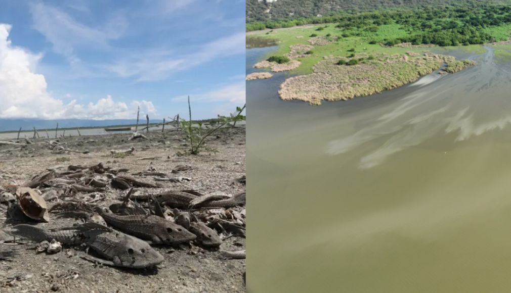 Tormenta Melissa ayudó su gran cantidad de lluvias generadas en el país a que se recuperara laguna de Barahona.
