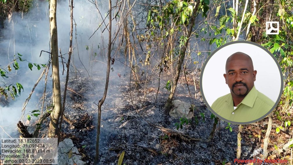 En nota de prensa el director provincial de Medio Ambiente, David López, atribuyó a desaprensivos, que en los últimos días han provocado incendios en la parte alta de la ciudad.