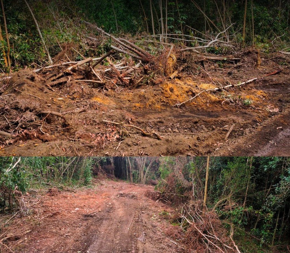 La organización cuestiona que Medio Ambiente haya otorgado un permiso.