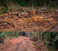 La organización cuestiona que Medio Ambiente haya otorgado un permiso.