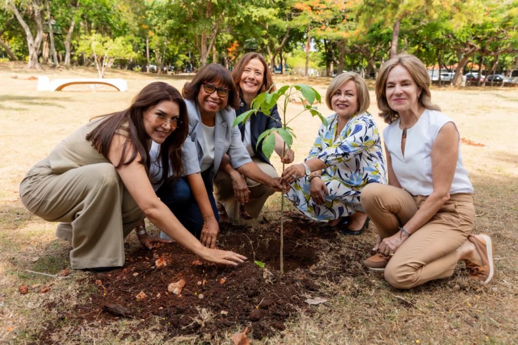 Los 90 árboles serán plantados en diferentes puntos del parque Mirador Sur.