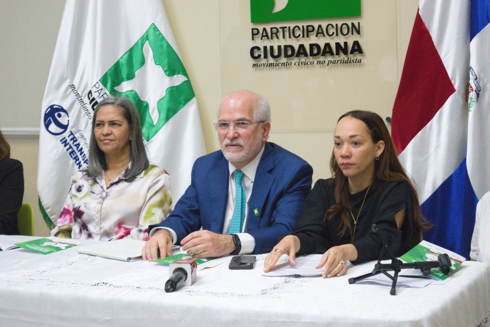 Pidieron que la auditoría de los bienes sea llevada a cabo por la Cámara de Cuentas.