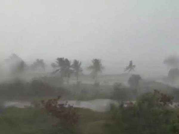 Tormenta Erika se encuentra a 140 kilómetro de la Isla Saona, informa el COE: 