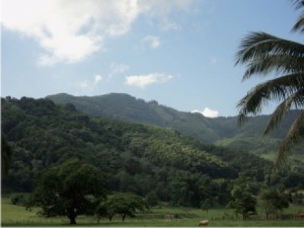 Vista de la Loma de Miranda entre Bonao y La Vega.