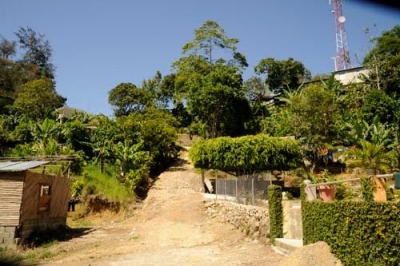 Comunidad “Gurabito de Yaroa” piden a Obras Públicas arreglo se sus calles : 