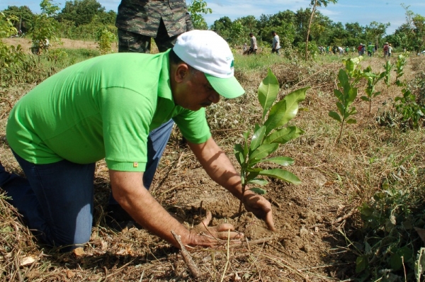 Bautista Rojas Gómez siempre  una de las plantas.