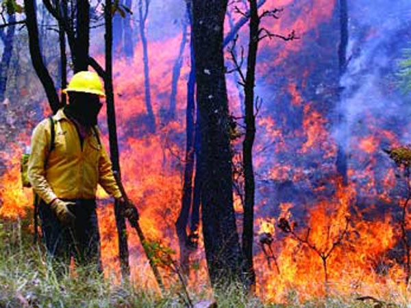 Medio Ambiente dice controla fuego en Sierra de Bahoruco