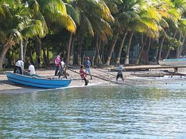 En el país, la pesca indiscriminada es frecuentes por la falta de control institucional, se espera que, con éste manual educativo, las organizaciones de pescas de República Dominicana, hagan conciencia de que para la subsistencia no es posible la pesca discriminatoria.