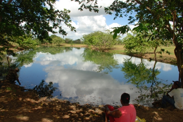 Vista de la Laguna Maniti, en los humedales del Ozama, Santo Domingo Este