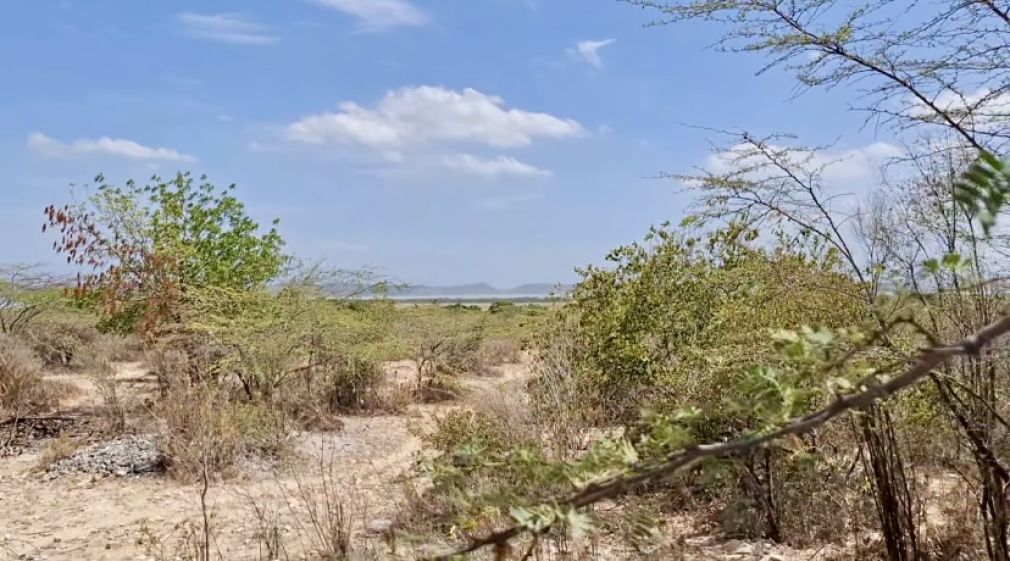 Sequía y desvio del Yaque del Sur amenazan la Laguna de Cabral.