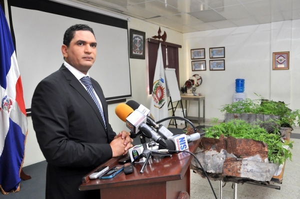 Decomisan 693 matas de marihuana en Baní