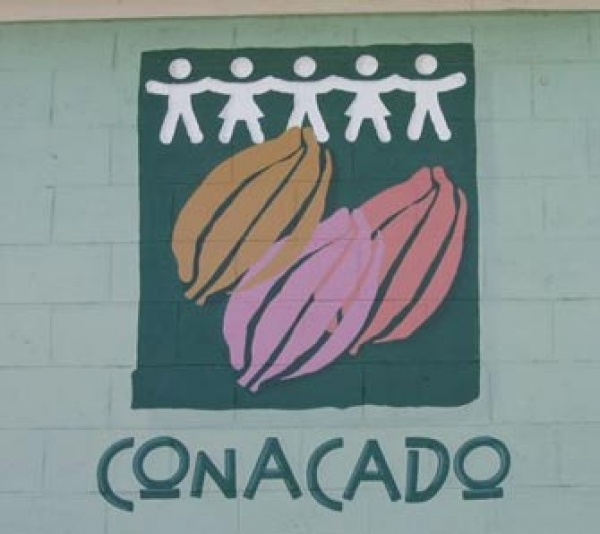 Conacado y otras entidades construyen un acueducto en La Cuaba: 