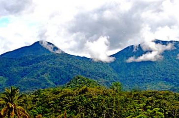 Senador revela autorizan proyecto minero en área de Parque Nacional