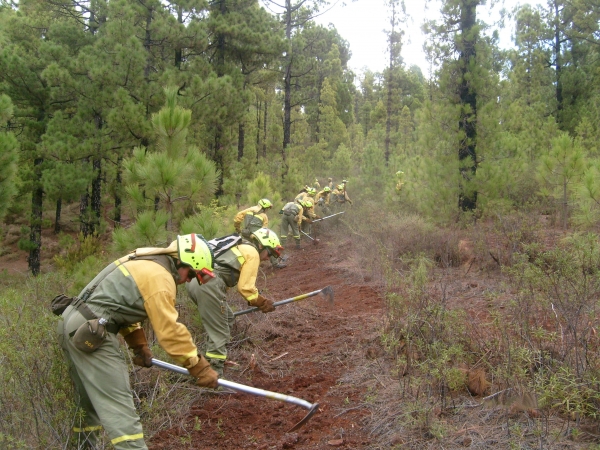 Medio Ambiente se prepara para incendios forestales