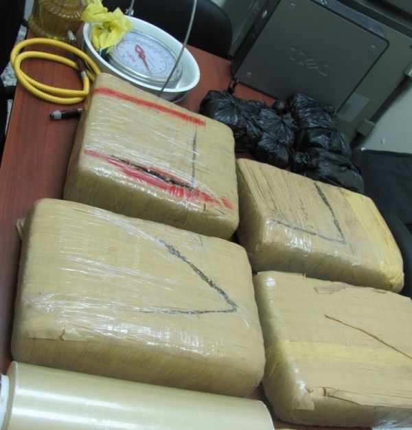 DNCD ocupa 54 libras de marihuana  en Santiago