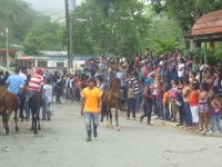 El municipio Polo celebra el día 29 de junio actividades culturales con carreras de caballos y burros en conmemoración del apostol San Pedro.