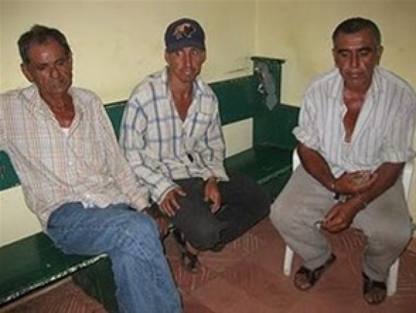 Cultivadores de marihuana son condenados a 55 años en Hato Mayor 