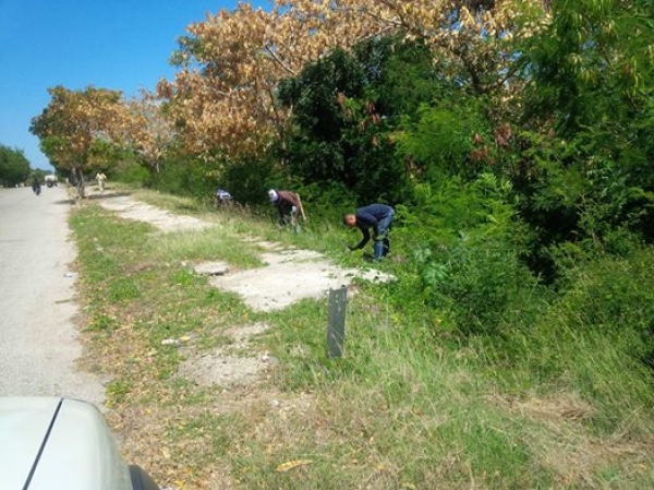Obras Públicas inicia operativo control de vegetación en Barahona: 