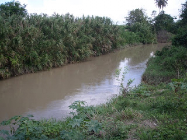 Agricultores reclaman reparacion de muro los protege de inundaciones del Yaque del Sur