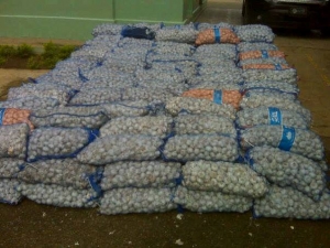 Armada incautan de 233 sacos de ajo procedente de Haití: 