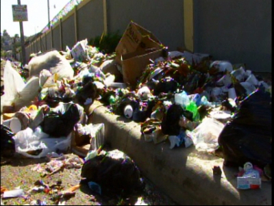 Sector de Santiago tienen calles cubiertas de basuras 