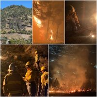 Medio Ambiente reiteró su llamado a la ciudadanía a actuar con responsabilidad y evitar prácticas que puedan provocar incendios forestales.