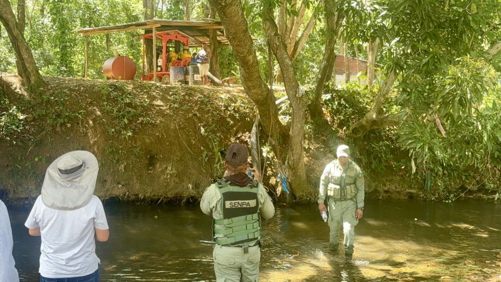 Mueren peces en ríos Matua e Higüero por supuesta contaminación de campo golf.
