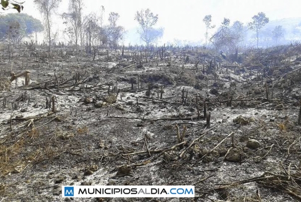 Grandes terrenos han sido quemados cerca del Polo Magnético en el municipio Polo de la provincia Barahona.