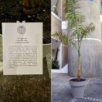 Autoría, obra y originalidad: a propósito de una palma en un macetero, premio de escultura de la XXXI Bienal de Artes Visuales.