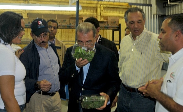 Gobierno prestará 35 millones a productores de Constanza