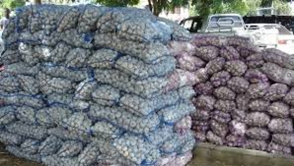 Armada ocupa 450 sacos de ajo de contrabando desde Haití