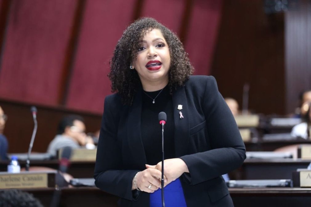 La diputada Juliana O'Neal dijo que la discusión sobre este etiquetado no es meramente técnica, sino, una cuestión de derechos.