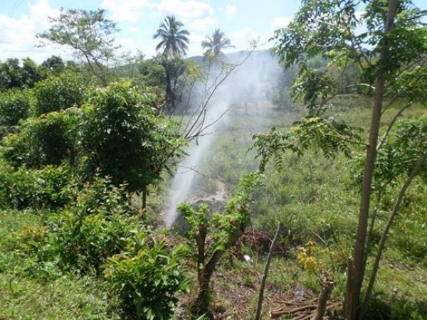 INAPA enfrenta uso ilegal de agua en fincas locales  Monte Planta