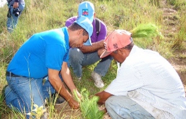 CAASD reforesta cuenca Río Ozama