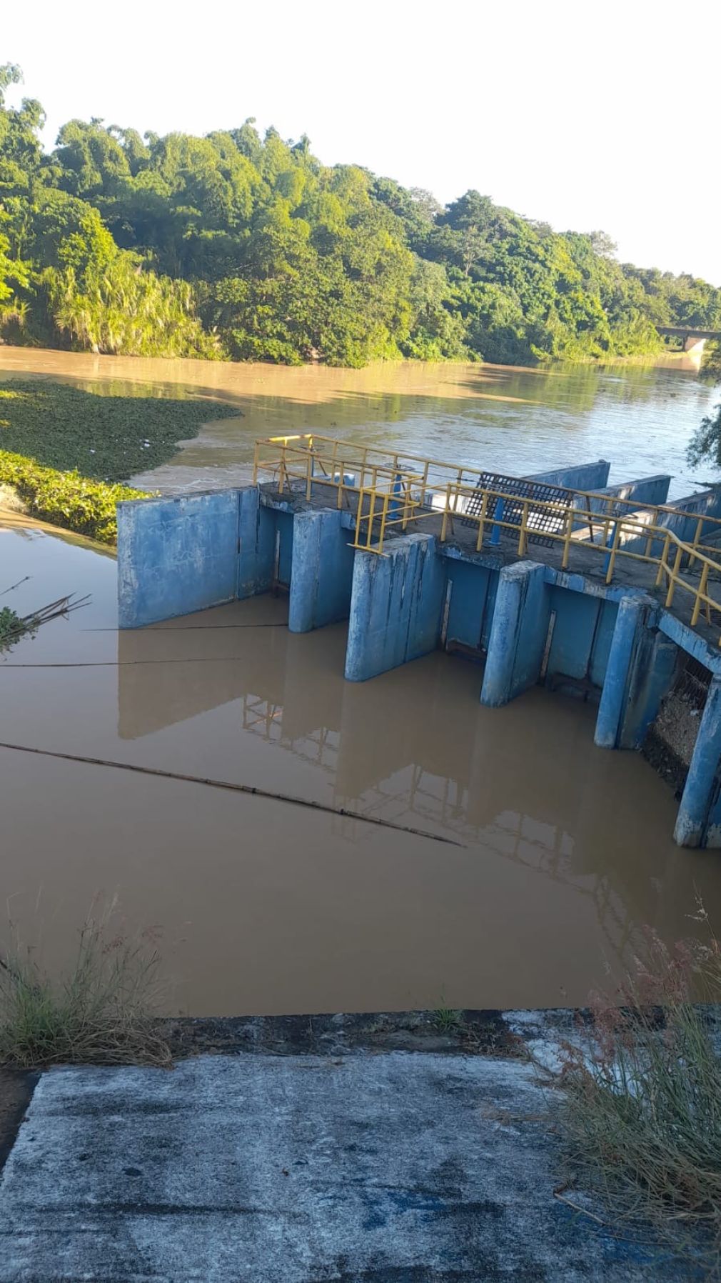 La institución informó que mantiene activado su comité de emergencia ante posibilidad de lluvias por incidencia de tormentas tropicales.