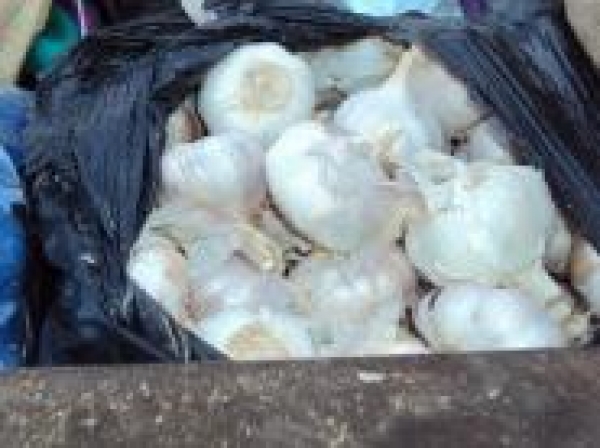 Incautan ajo en mercado de Dajabón