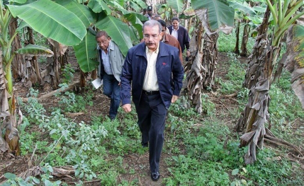 Presidente Danilo Medina anuncia respaldo a plataneros en Tamayo: 